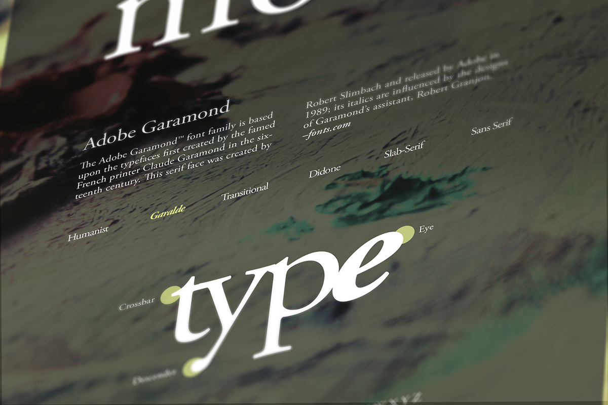 Type Classifications Poster series poster print selected