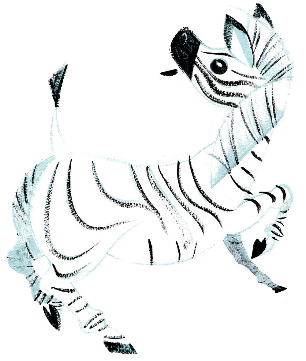 children's illustration children's book animals wildlife