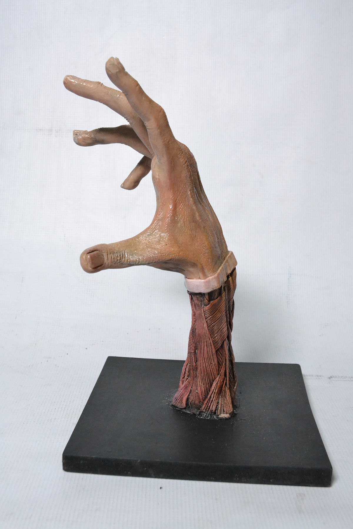 escultura anatomia mano