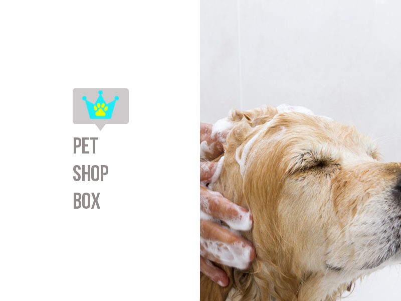 Pet petshop vet workstation Work  bath kit produtc ergonomic cachorro Posto de trabalho design de produto dog