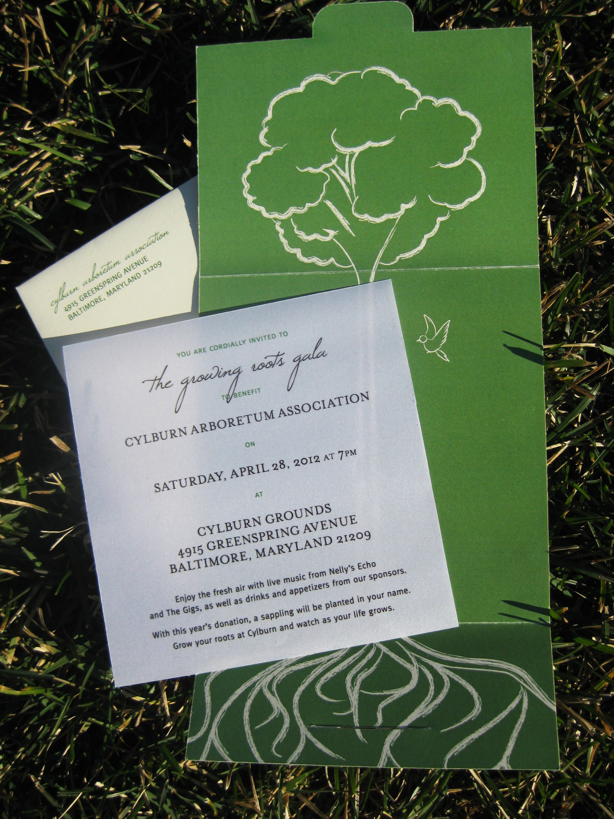 arboretum invitations trees schoolproject undergrad