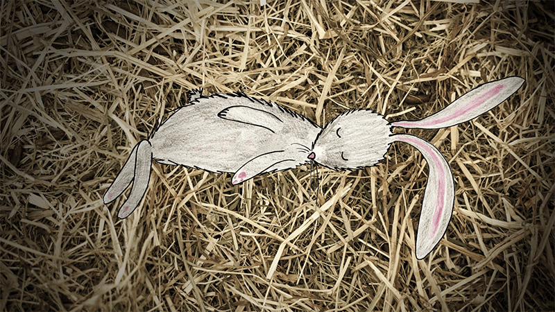 rabbit bunny death gif animated cinemagraph obsession rabbits Drawing 