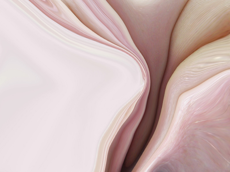 skin skins mood feel feelings flesh body touch flow abstract colour sensual movement dissection baird jon baird digital painting color