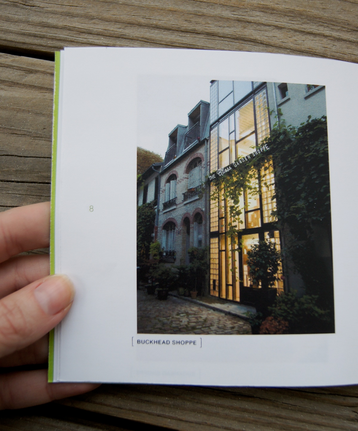 glass garden Book Series green terrarium