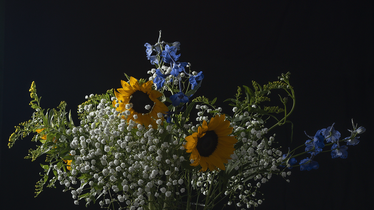 Flowers Macro Photography Photography 