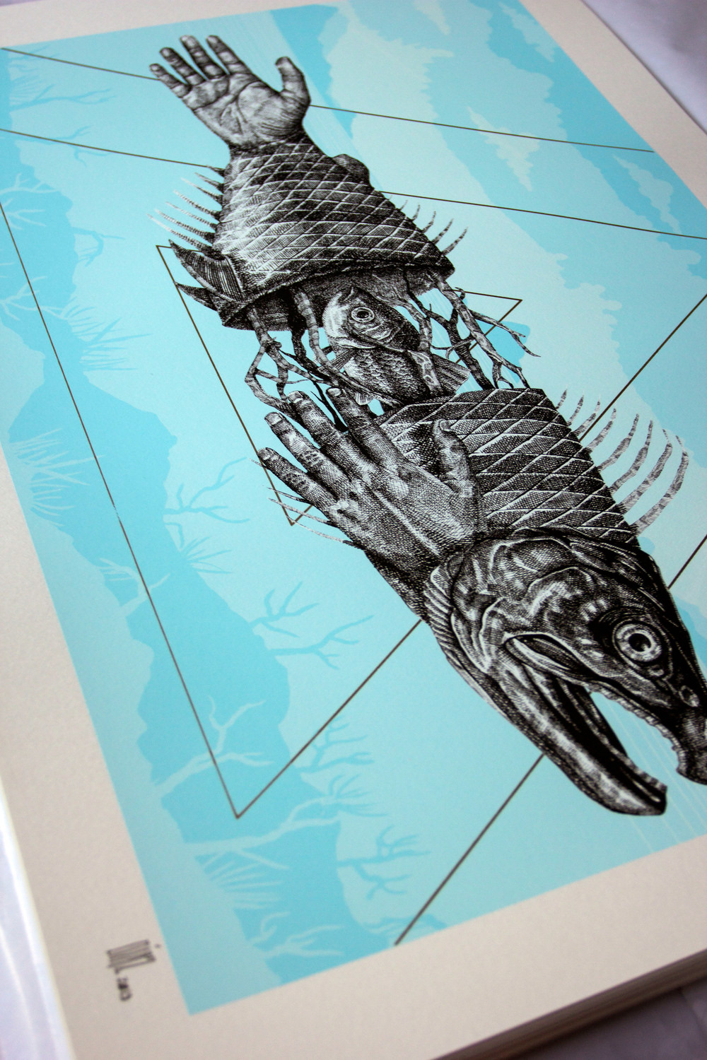 screen print art print alexis diaz la pandilla sericraft mission to art streetartnews streetart sea fish