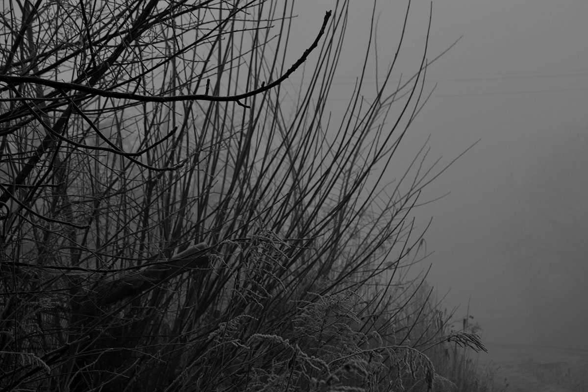 black&white photography horror railway