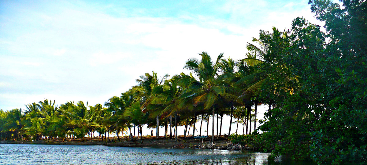 Landscape Dominican republic nagua turquiose sea sand beach Caribbean