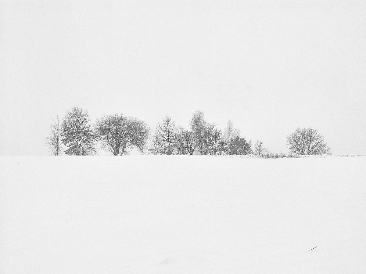 Landscape Nature  tree  trees black and white bw jörg marx