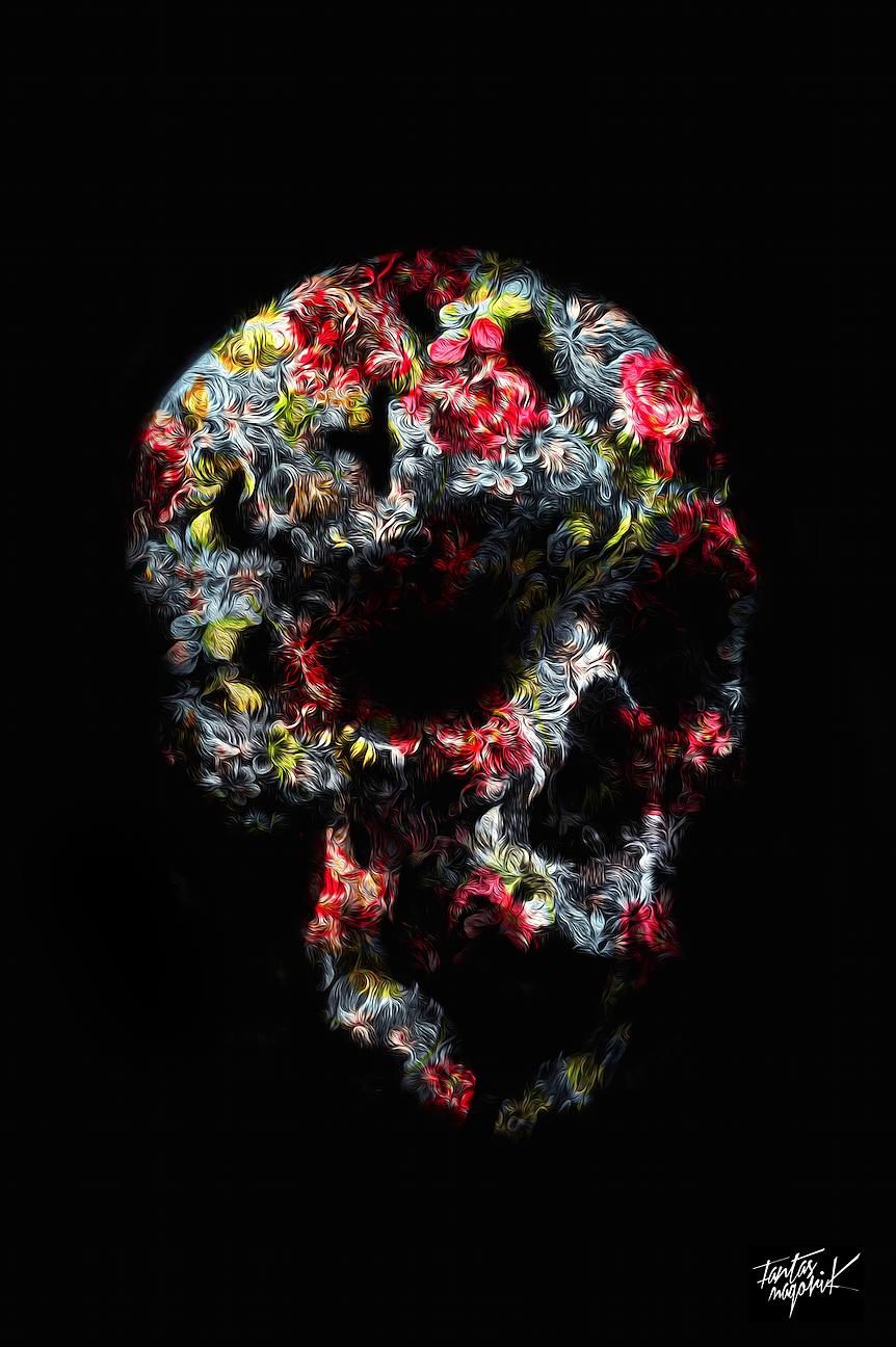 fantasmagorik nicolas obery skull flower artwork dark fantastic super heros adobe photoshop
