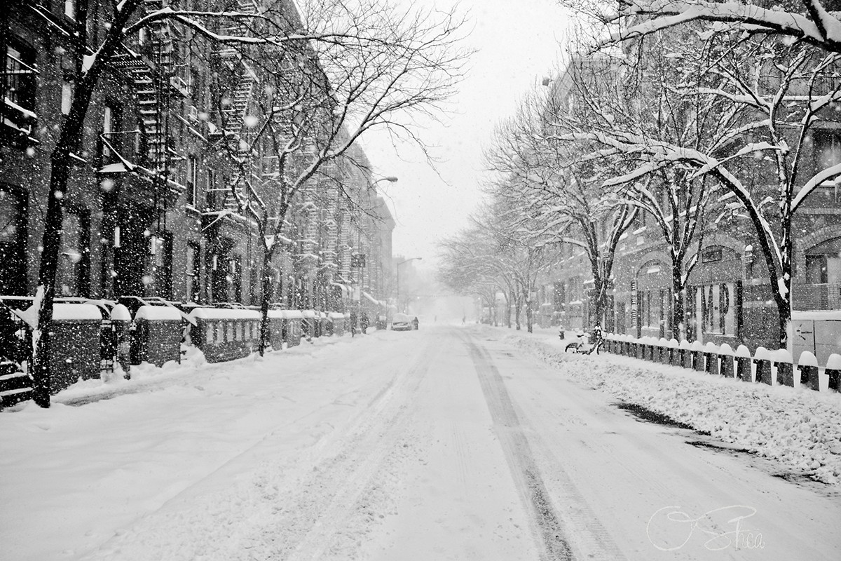 nyc new york city Blizzard Travel Ban Blizzard Warning winter storm jonas snow Nikon