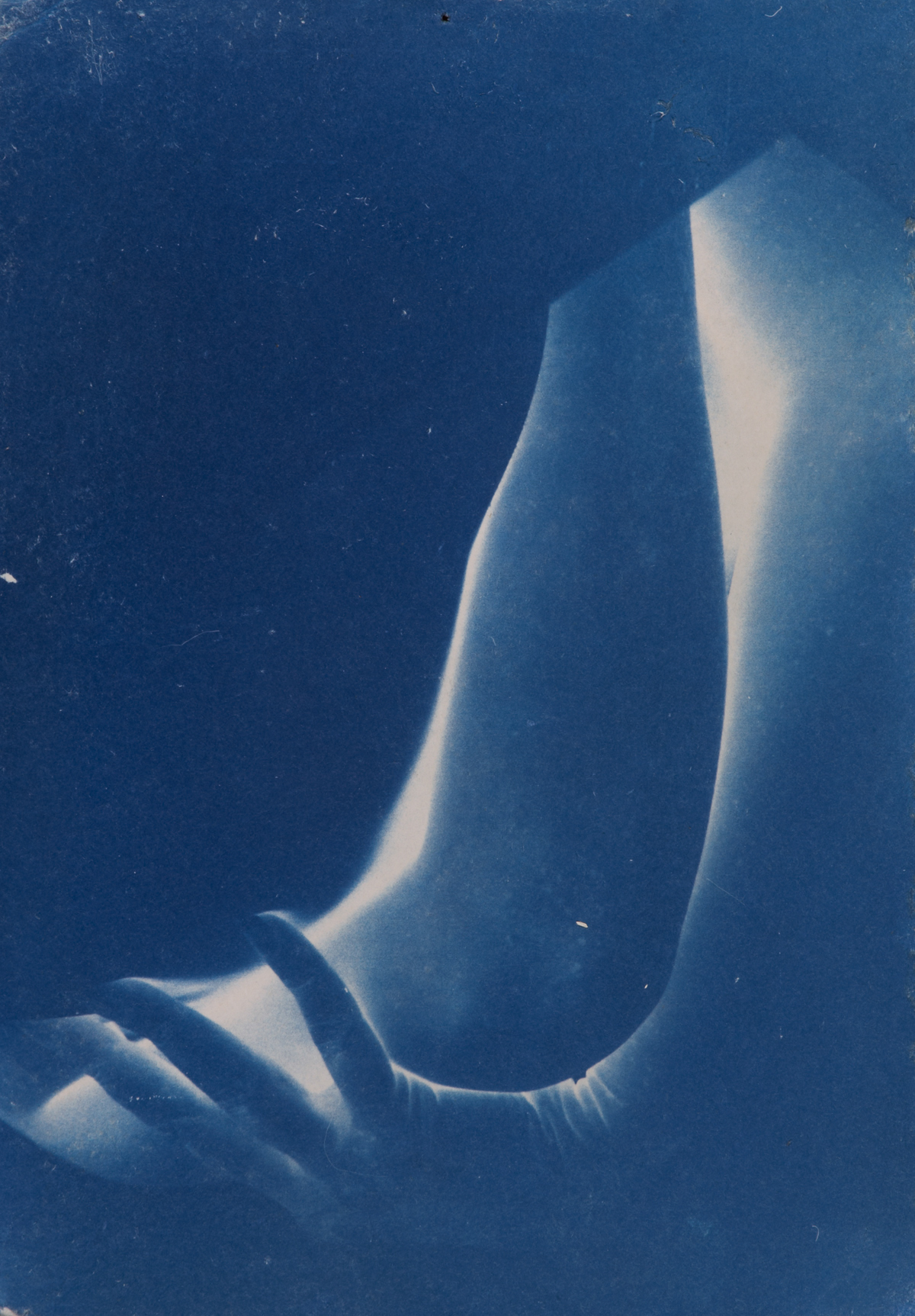 cyanotype body blueprints abstract female form nude