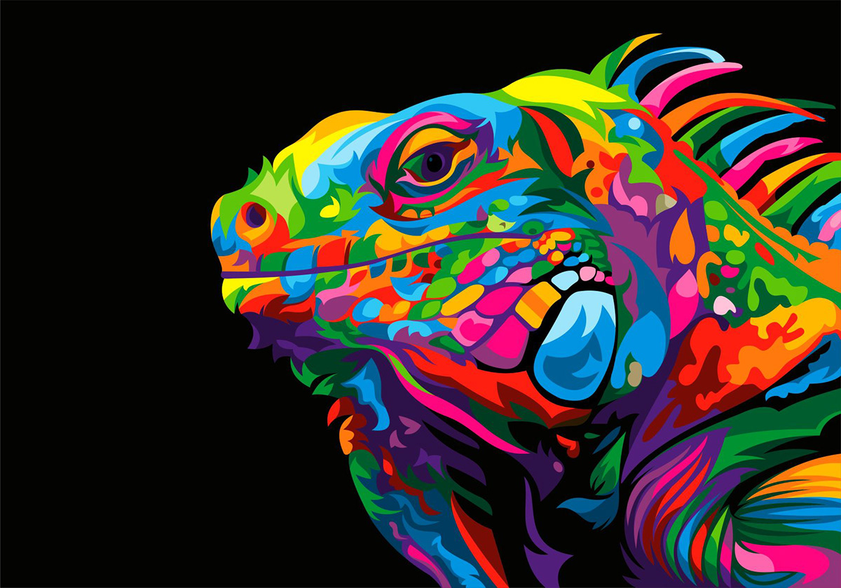 13 Colorful Animal Vector Illustration On Behance