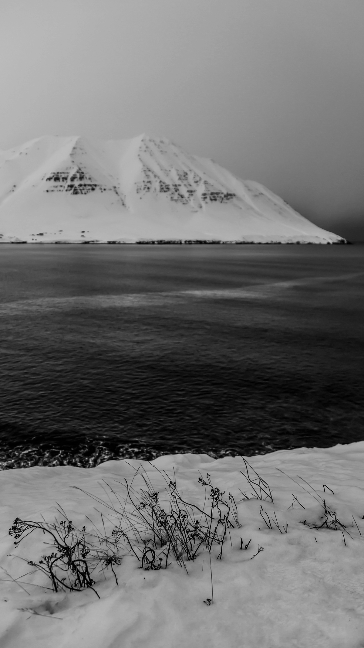 iceland b&w bw noir north ice sea