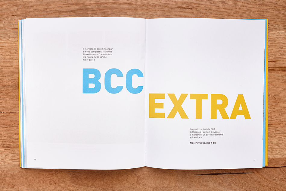 Bank BCC ANNUAL report editorial design infographic visual storytelling   Data brochure