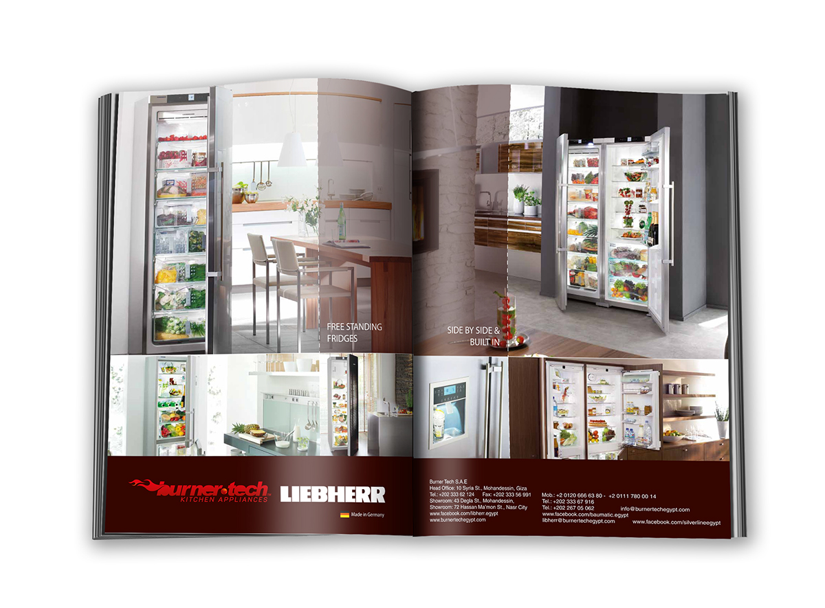 Advertising and subscription interiors magazine Catalogue ads ad design Layout