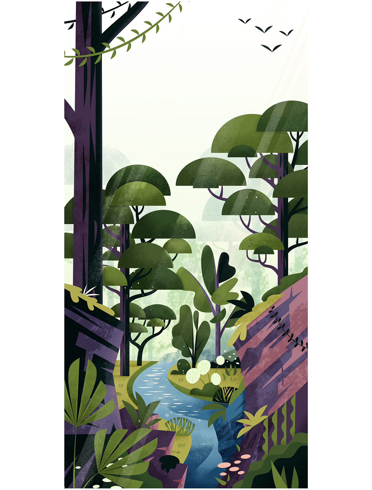 america bolivia Boulder ecologic ILLUSTRATION  Illustrator jungle Nature river south