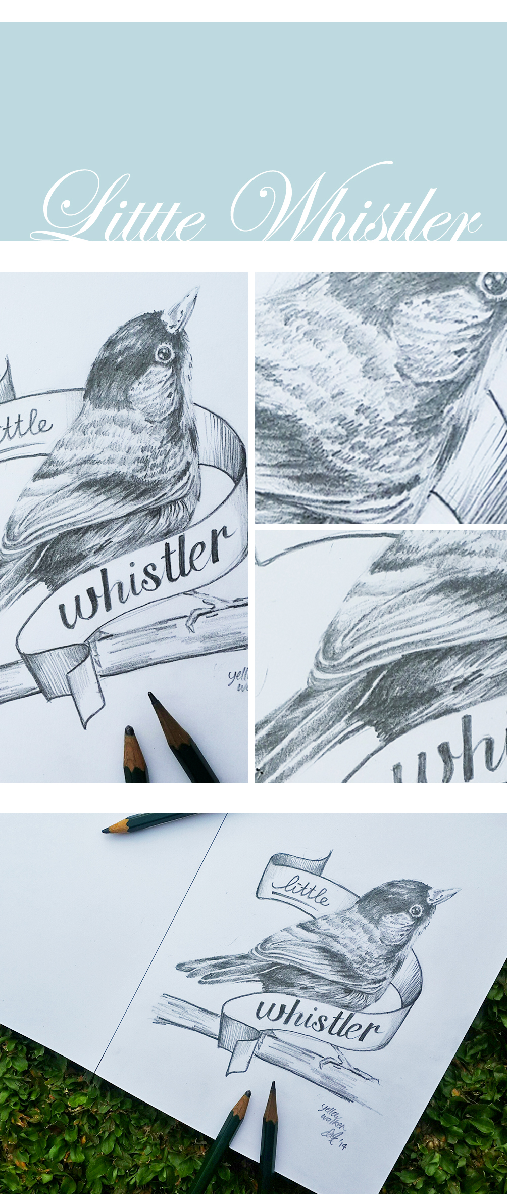 bird bird drawing yellow walker Handlettering Bird Illustration sketch design Pencil drawing