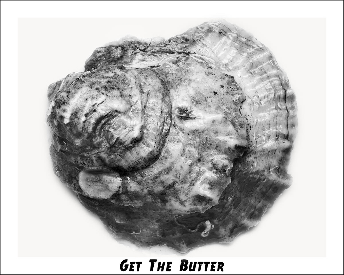 oysters still life black and white food photography seafood editorial