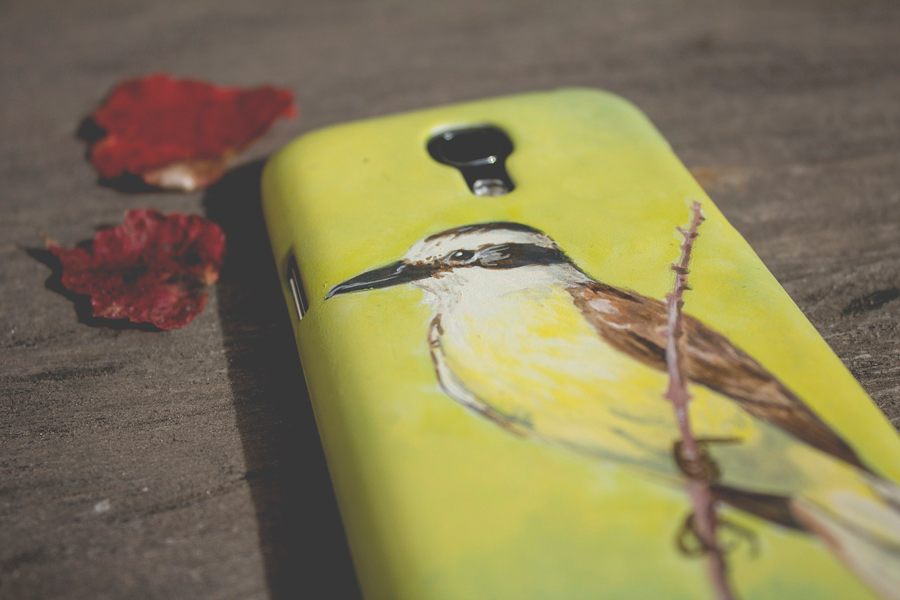 bird Nature phonecase phone case carcasa kiskadee acrylics wildlife wild phone case design Unique