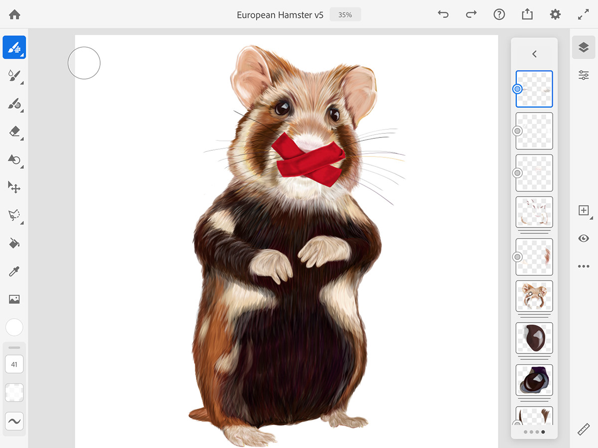 adobe fresco Digital Art  European hamster hamster ILLUSTRATION  nabu vector art