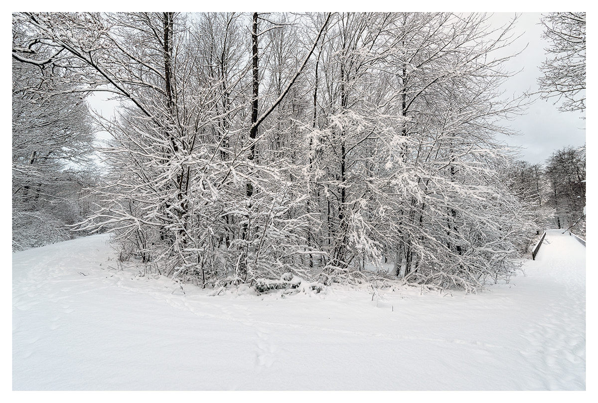 Gefroren Neunkirchen Saarland schnee wald winter