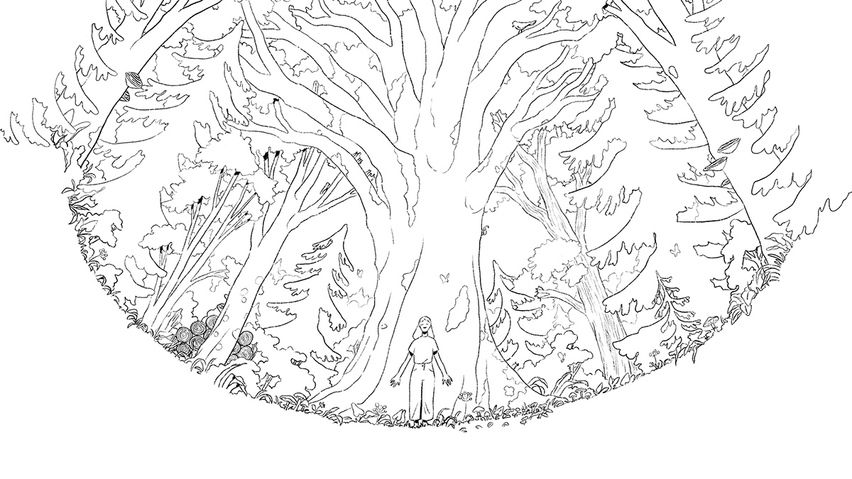 ILLUSTRATION  forest Nature Landscape environment insect Tree  Drawing  sketch wishes