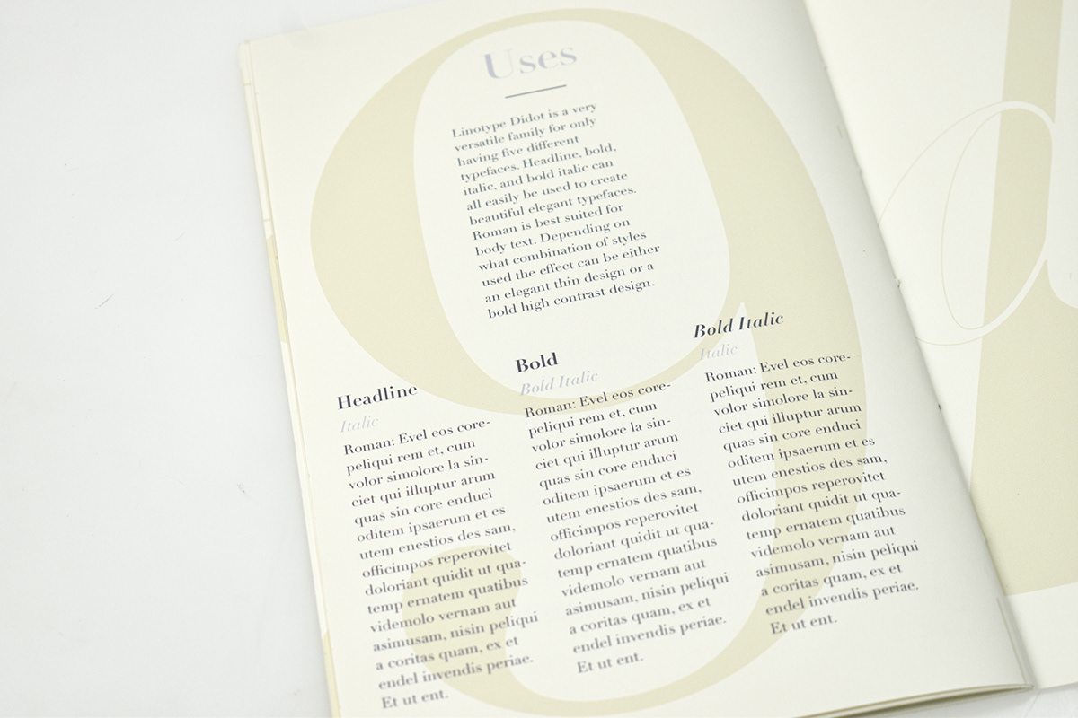 Booklet font Layout print type design Typeface typography   Adobe Portfolio