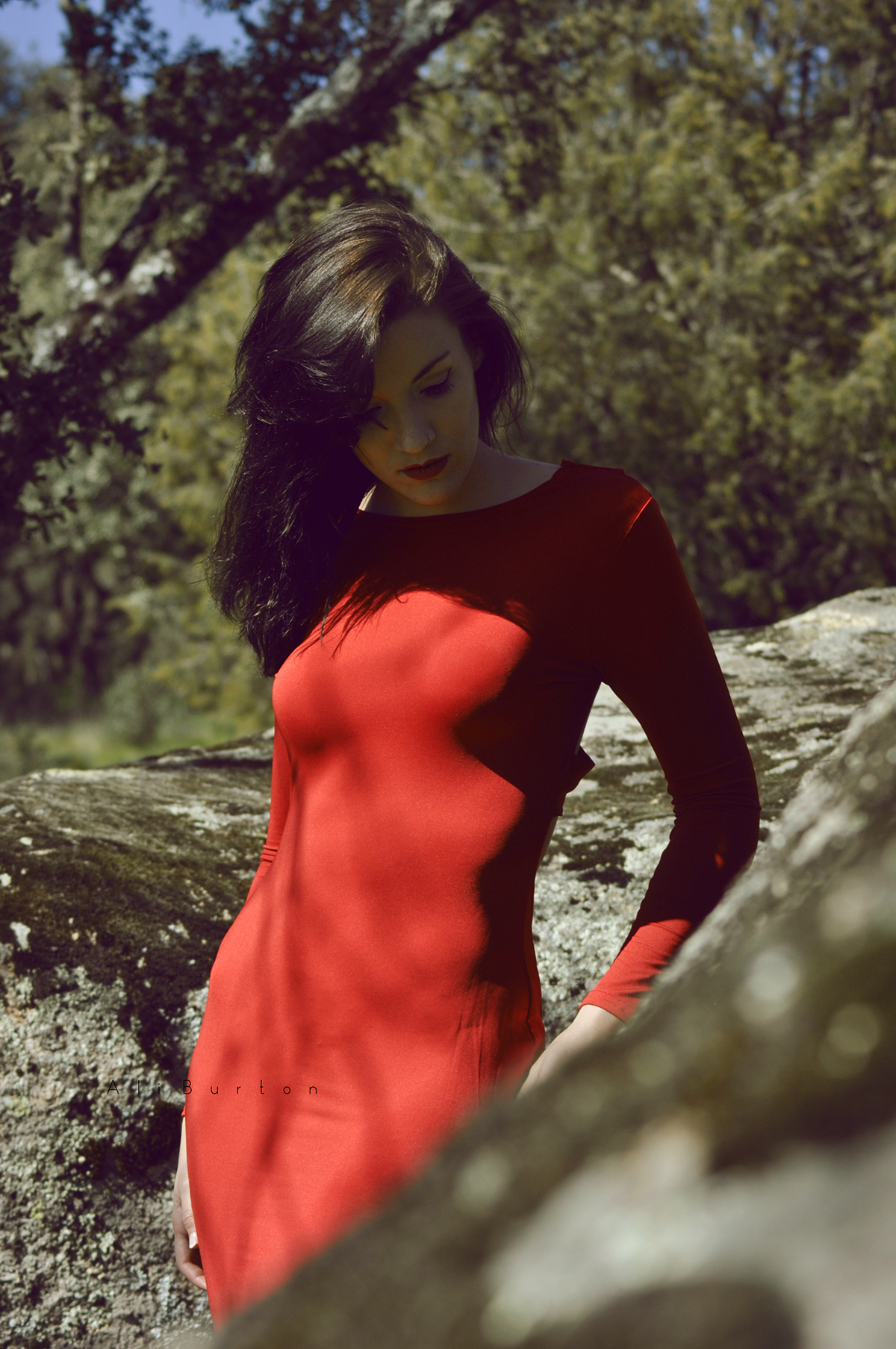 red dress Shadows forest light Sun photo girl Aliburton