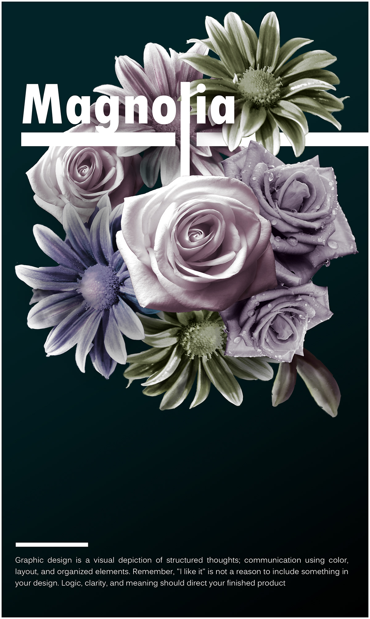 Flowers poster daily design advertise creative frame