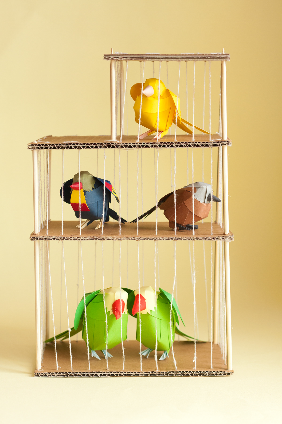 paper paper craft papercraft craft bird birds Bird Cage stop motion handmade