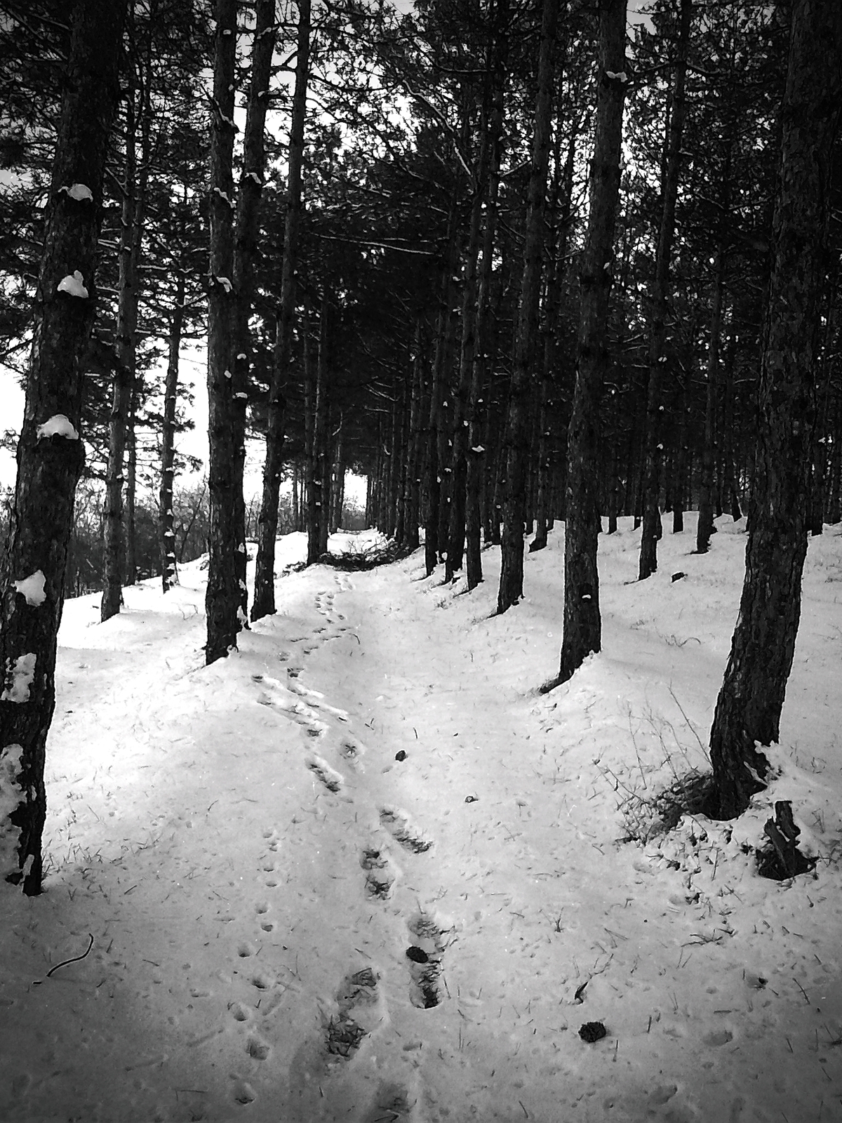 Black&white Moldova winter mistery snow cold photos grandmother memories nostalgia longing woods frozen lake vilage quiet