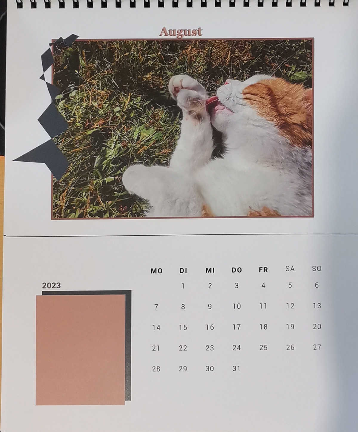kalender design Katze