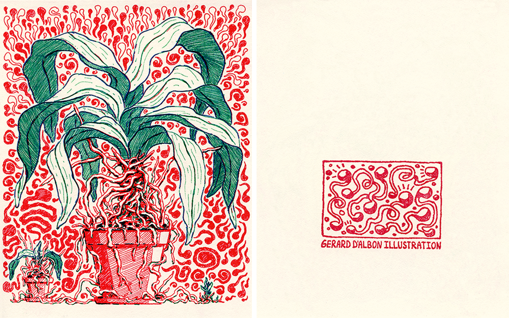 ILLUSTRATION  Riso risograph prints Zine  plants Succulents gerard dalbon