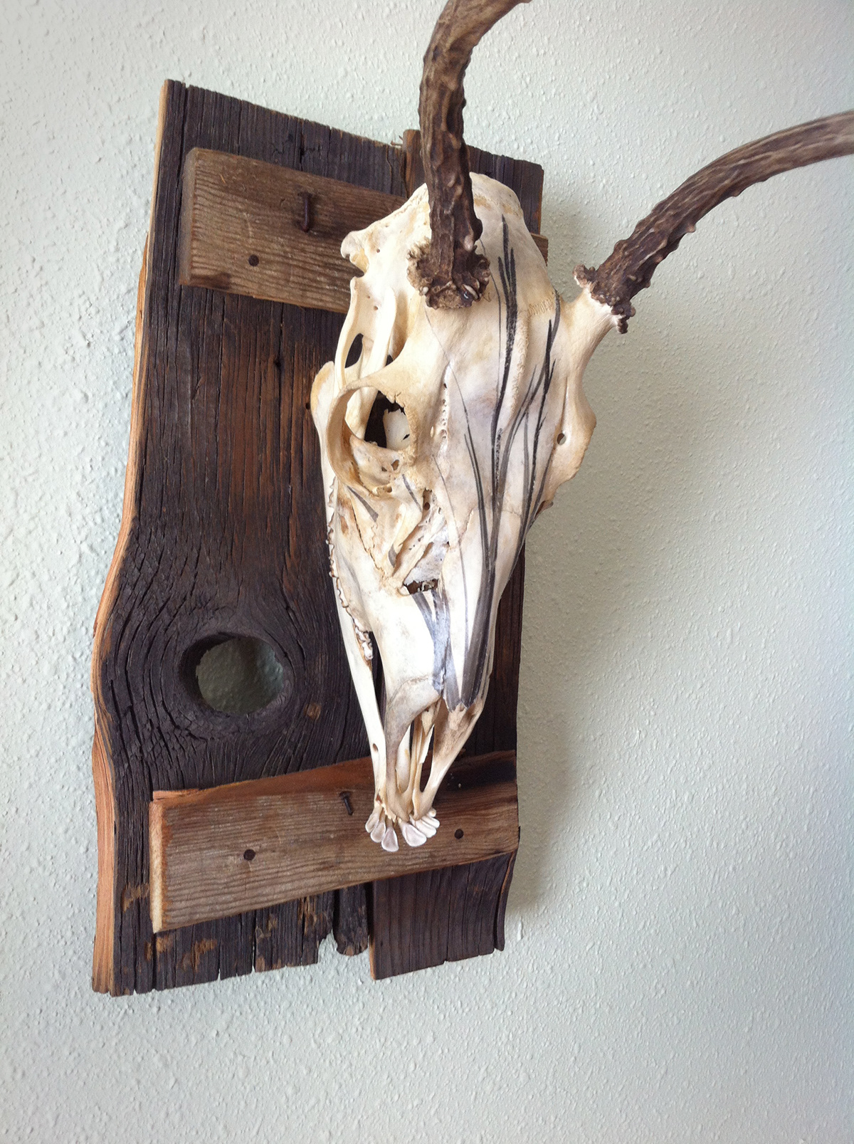 deer Hunting taxidermy home decor sculpture wall hanging barn wood