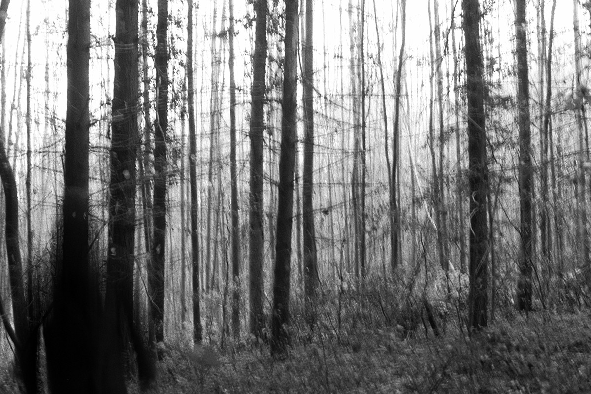 Photography  occult shaman darkart paganism forest model analog Film   blackandwhite