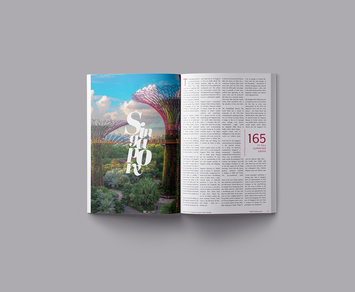 Adobe Portfolio magazine brochure print Mockup template luxury typography   logo