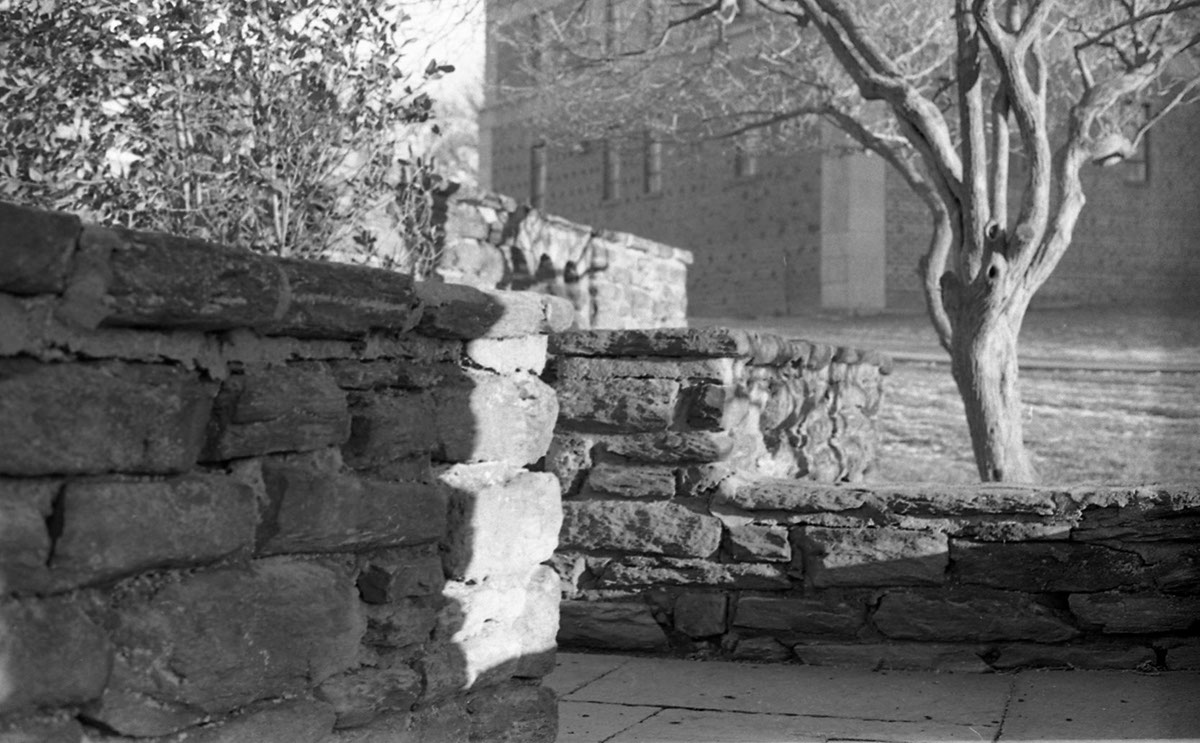 minolta black and white analog photography Minolta sr-t 101 35mm film portraits philadelphia university Alden Park Flat Rock Park Landscape cityscape Zachary Sammartino