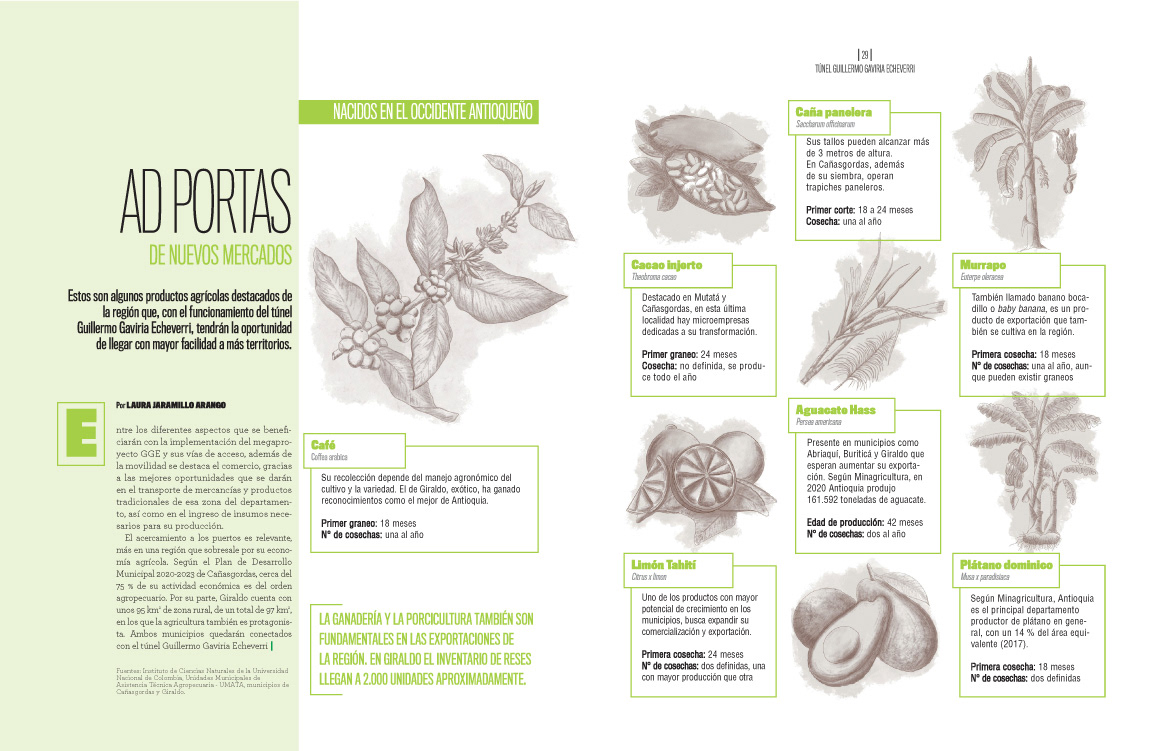 Antioquia colombia Diseño editorial diseño gráfico editorial magazine revista tunel túneles