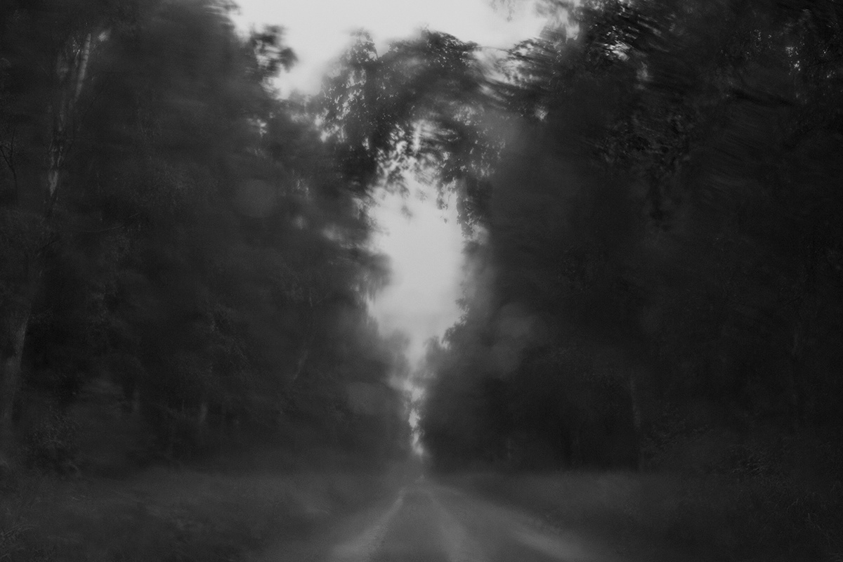 lietuva lithuania black and white monochrome Tree  Landscape Mindaugas Buivydas