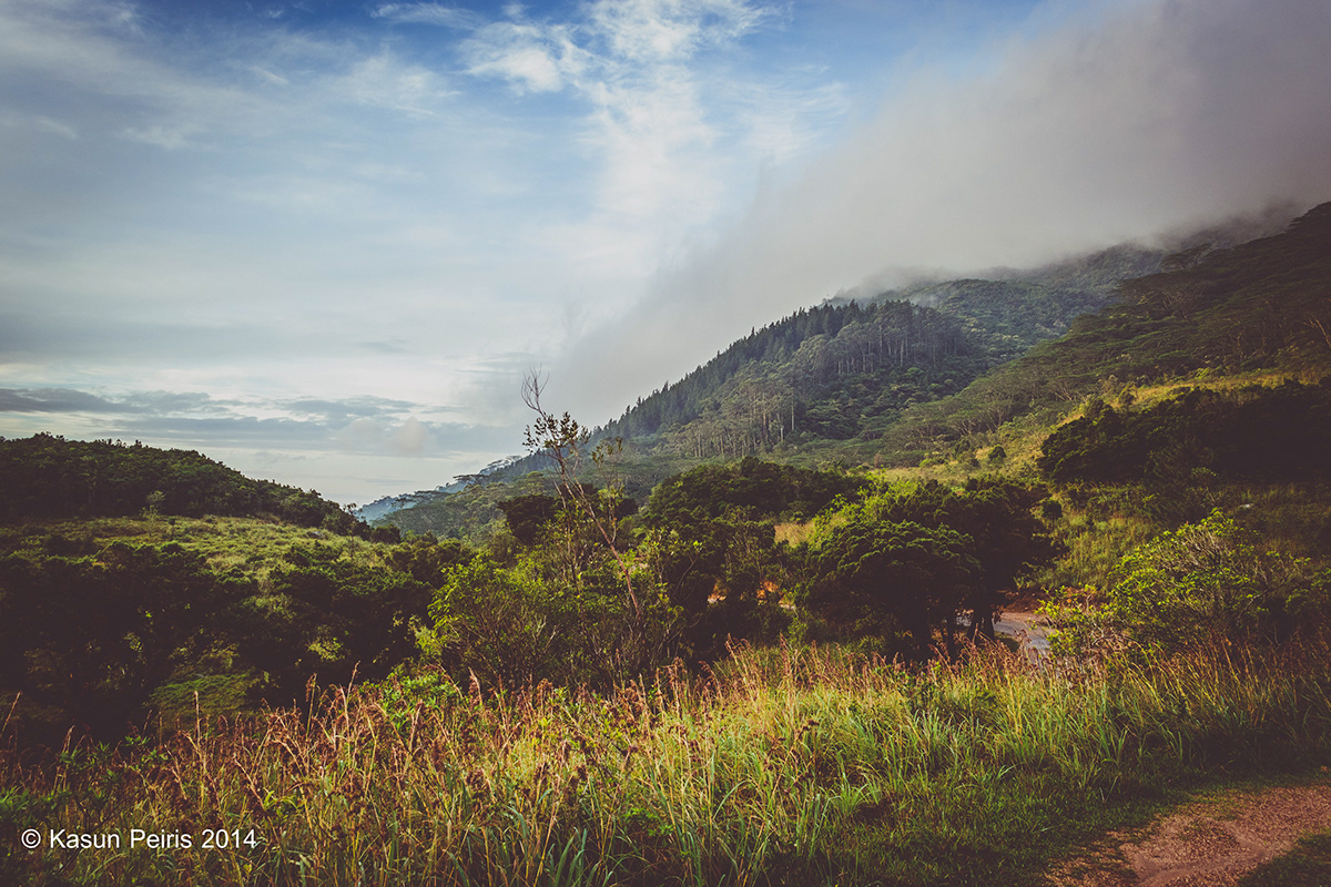 srilanka Knuckles mountain range world's heritage site mist hills