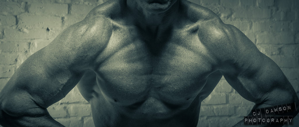 bodybuilder BodyBuilding body Form muscle musculature statue sculpted Nikon lighting light Shadows contrast