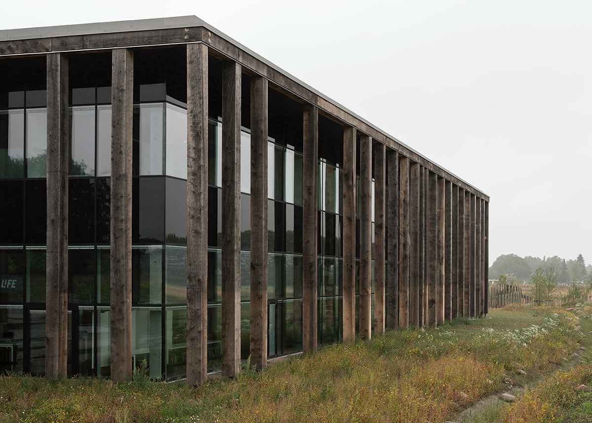architecture copenhagen denmark DTU Landscape learning Lyngby minimal nordic