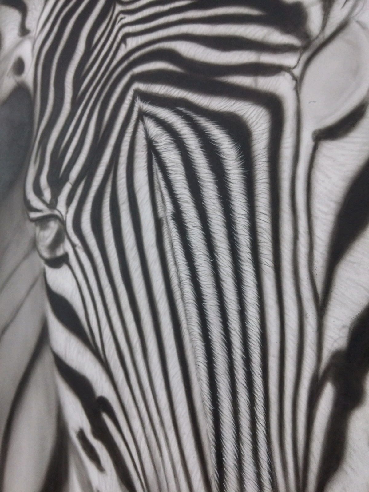 Drawing  painting   Black Zoo Project airbrush Fine Arts  Artworm