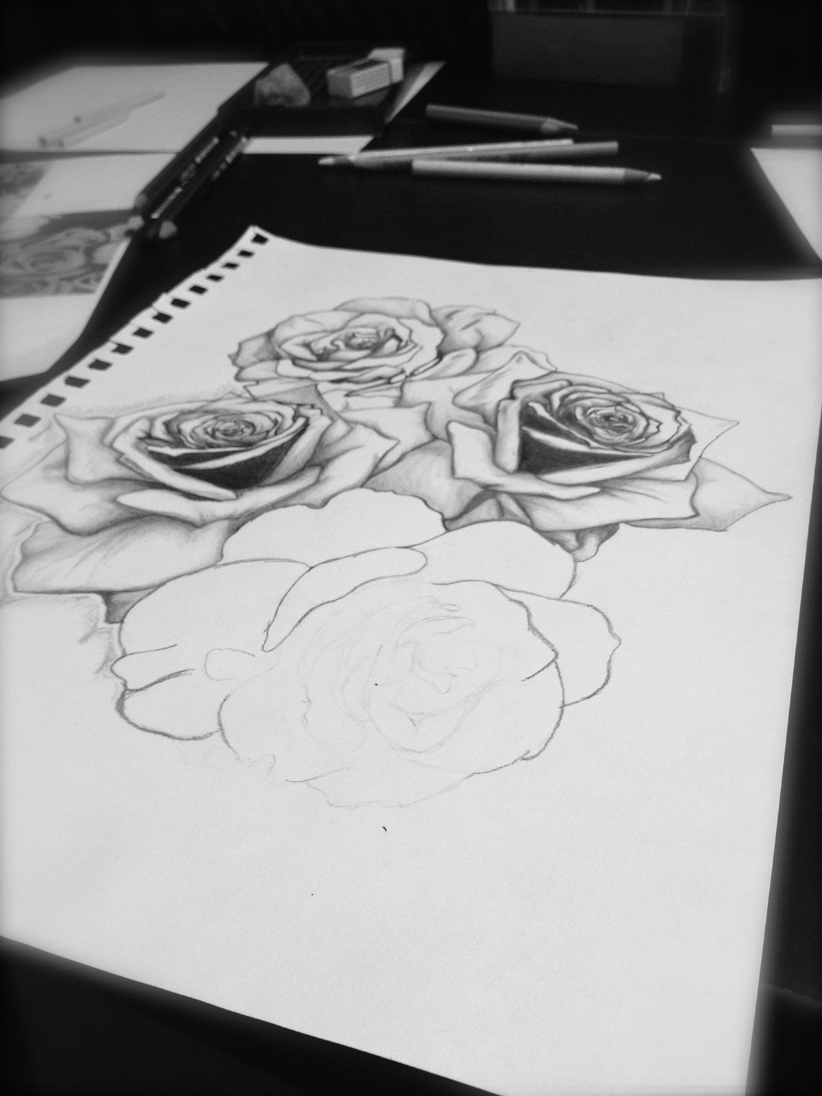 Roses sketch rose tattoo shading pencil graphite