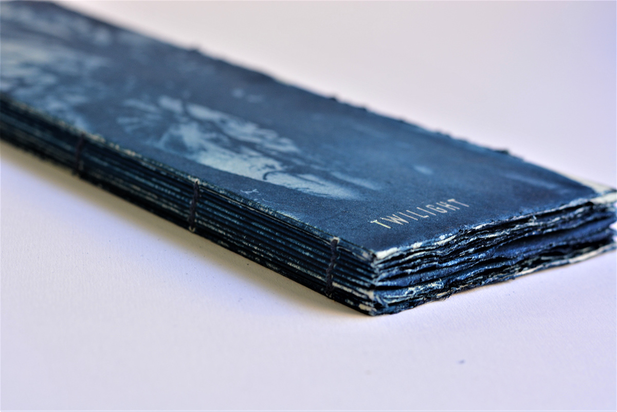 artist'sbook cyanotype Bookbinding hotfoil blocking book design coptic binding artist's book book art