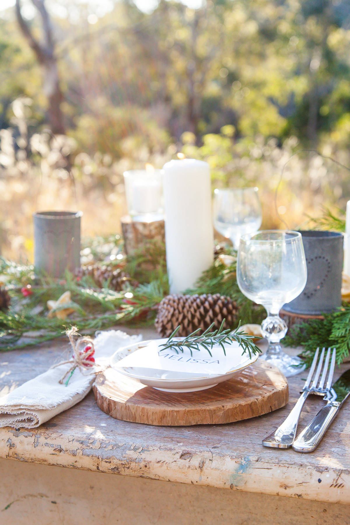 rustic Christmas tablescape Outdoor Paddock wedding Naked Cake natural setting