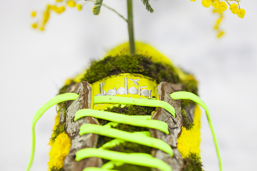 sneakers Diadora mimosa Collaboration think nature Vegetal moss