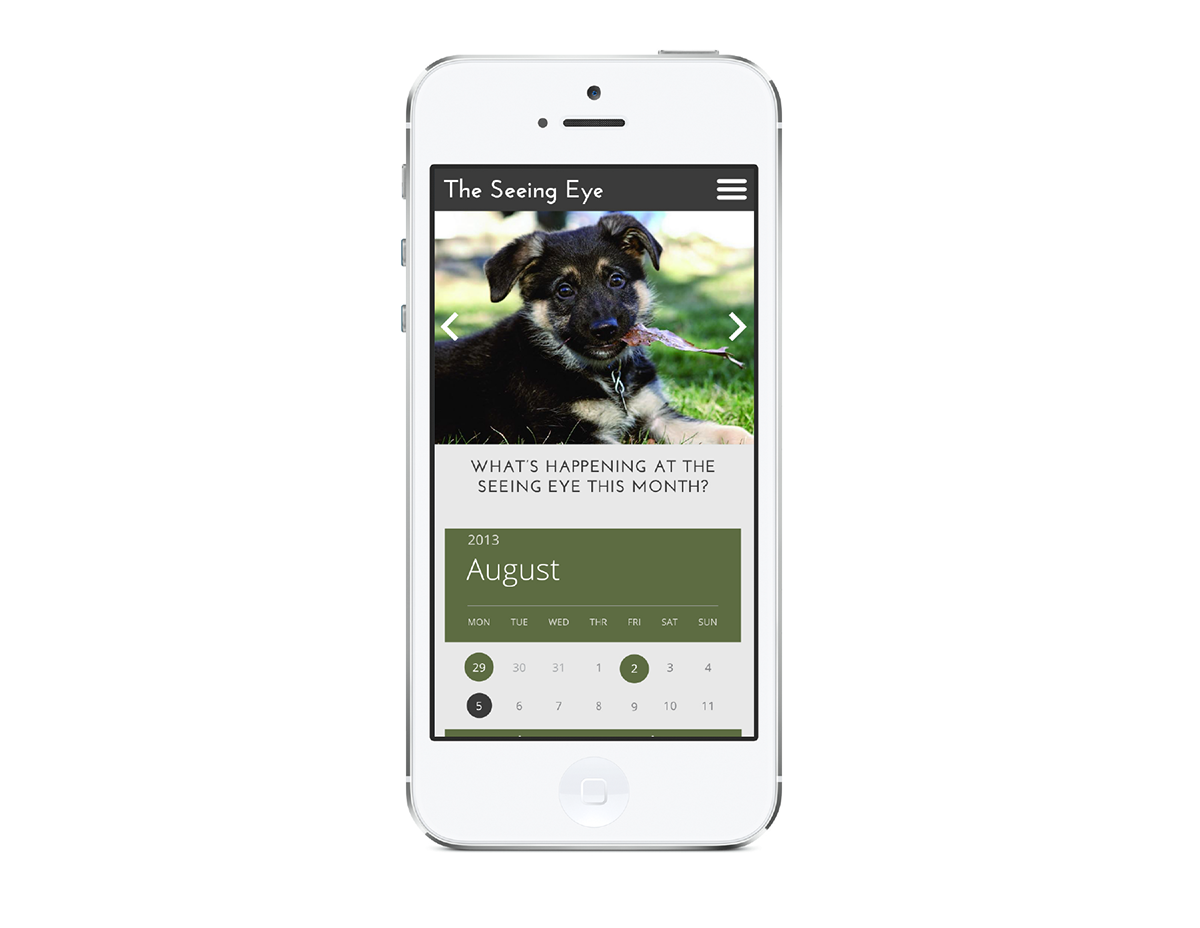 The Seeing Eye seeing eye dogs puppies mobile app