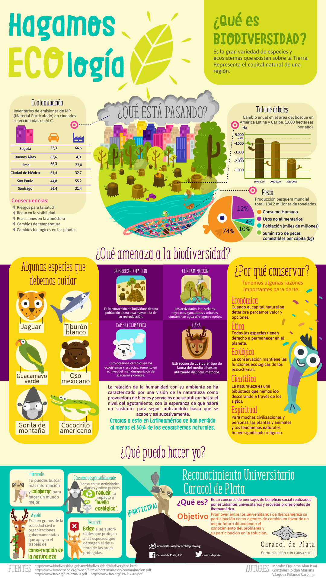 biodiversidad-infograf-a-on-behance